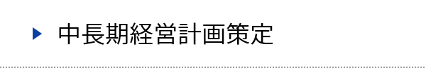 中長期経営計画策定